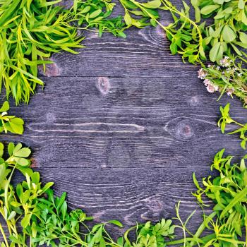 Frame of leaves herbs of fenugreek, rue, savory, tarragon, thyme against the background of black wooden boards