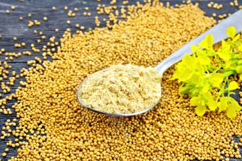 Mustard powder in a metal spoon, mustard seeds and flower on a black wooden board background