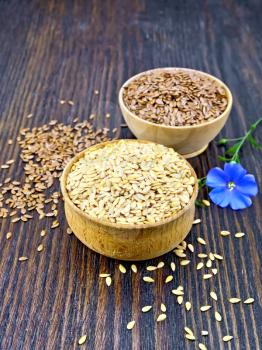 Linen seeds are white and brown in two bowls and a blue flax flower on the background of a wooden board