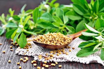 Fenugreek seeds in a spoon on a burlap napkin with green leaves on wooden board background