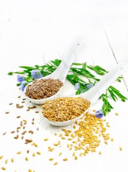 Linen seeds white and brown in two spoons, stalks of flax with blue flowers and green leaves on a white wooden board background