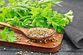 Coriander seeds in a spoon, green fresh cilantro and a napkin on wooden board background