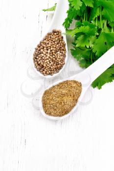 Coriander seeds and ground in two spoons, fresh cilantro on a wooden board background from above