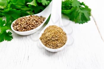 Coriander seeds and ground in two spoons, green fresh cilantro on a wooden board background
