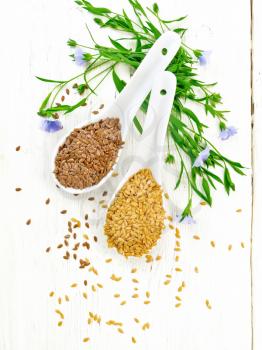 Linen seeds white and brown in two spoons, stalks of flax with blue flowers and green leaves on a background of light wooden board