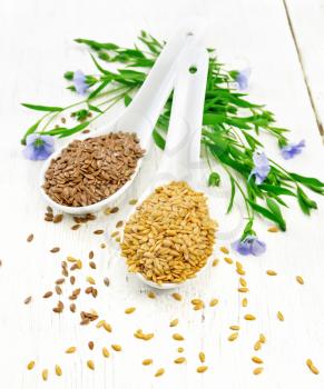 Linen seeds white and brown in two spoons, stalks of flax with blue flowers and green leaves on a background of light wooden board
