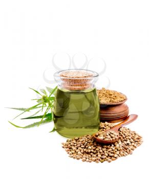 Hemp oil in glass jar, a pile of cereals with a spoon and flour in a bowl, green cannabis leaves isolated on white background