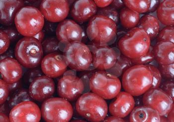 Royalty Free Photo of a Cherry Background