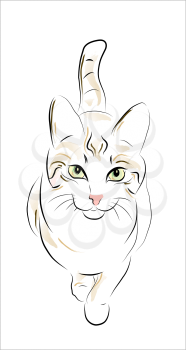 Royalty Free Clipart Image of a Cat