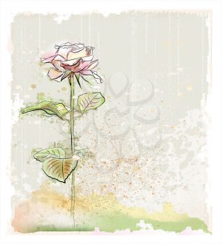 Royalty Free Clipart Image of a Rose