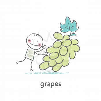 Grapes and people