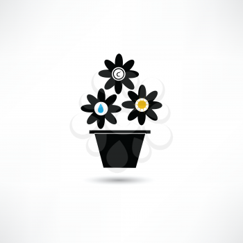 flower in a pot icon