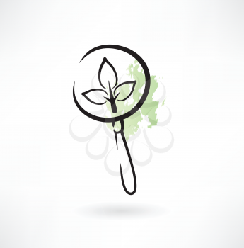 magnifying glass icon plant