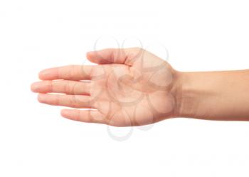 Human's palm isolated on white background