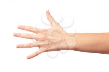 Five fingers on white background