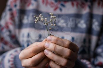 hands holding a small flower