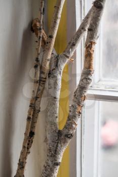 branches on a window sill