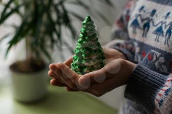 hands hold a christmas candle as fur-tree form