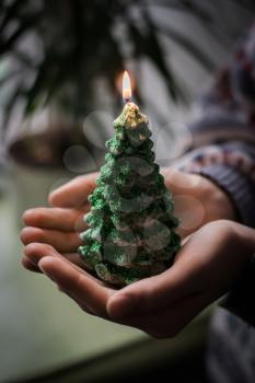 hands hold a christmas candle as fur-tree form