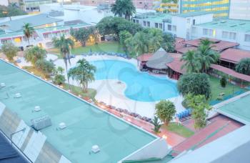 Palm and Swimming pool top view starting the sunrise