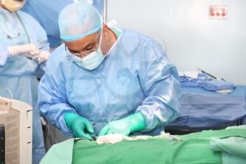 Doctor using tools in a surgery