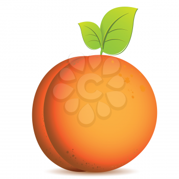 Royalty Free Clipart Image of a Peach