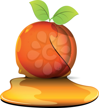 illustration, orange peaches with sheet in caramel