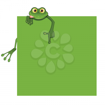 Illustration Green Frog Hanging on a Green Background