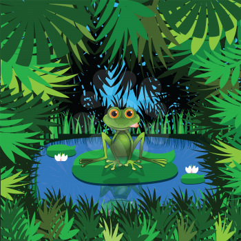 Stock Illustration of a Frog in the Jungle at the Pond