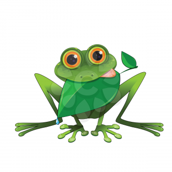 Illustration of a Frog with a Leaf in its Mouth on a White Background