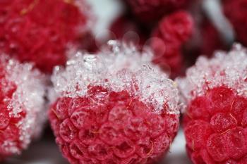 macro shot of frozen raspberries in ice
