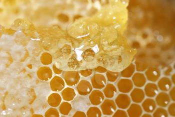 Macro shot of a Honeycomb with liquid honey