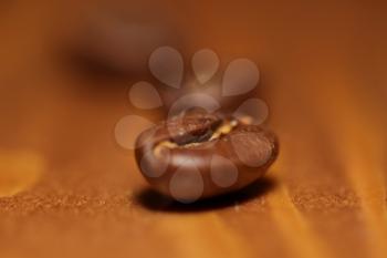 Macro shot of roasted coffee grains on a wooden board