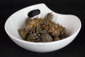 Royalty Free Photo of a Bowl of Pine Cones