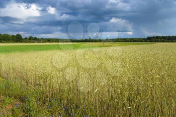 Royalty Free Photo of a Farm