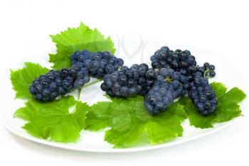 Royalty Free Photo of Grapes