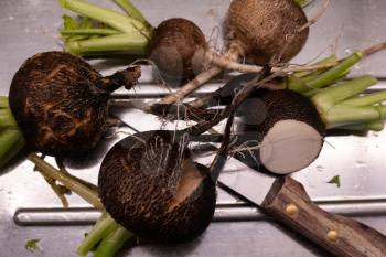 Preparing black radish for salad in the kitchen