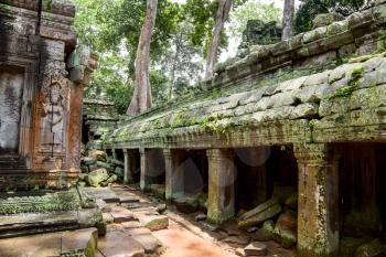 Ancient ruins in Ta Prohm or Rajavihara Temple  at Angkor, Siem Reap, Cambodia.