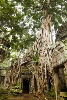 Ancient Ta Prohm or Rajavihara Temple  at Angkor, Siem Reap, Cambodia.