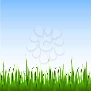 Seamless green grass with blue sky horizontal vector background.