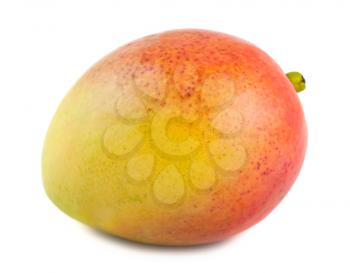 Royalty Free Photo of a Ripe Mango 