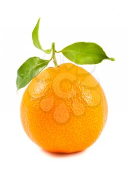 Royalty Free Photo of a Ripe Tangerine