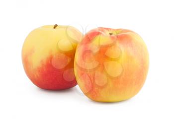 Royalty Free Photo of a Couple Ripe Apples