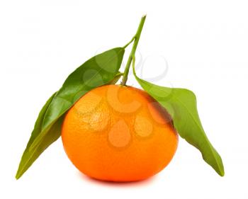 Royalty Free Photo of a Ripe Tangerine with Leaves