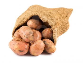 Fresh raw potatoes in burlap sack isolated on white background