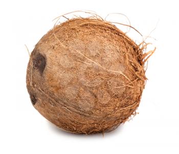 Single ripe coconut isolated on white background