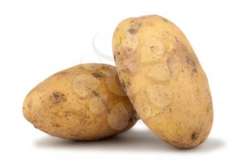 Pair of ripe potato isolated on white background