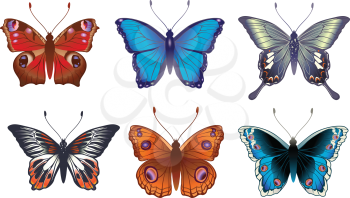 Royalty Free Clipart Image of Colourful Butterflies