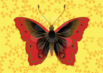 Royalty Free Clipart Image of a Butterfly