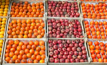 Persimmons and pomegranates in boxes
